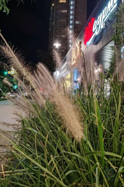 Продажа 2-комнатной квартиры, Ростов-на-Дону, Соколова пр-кт.,  72