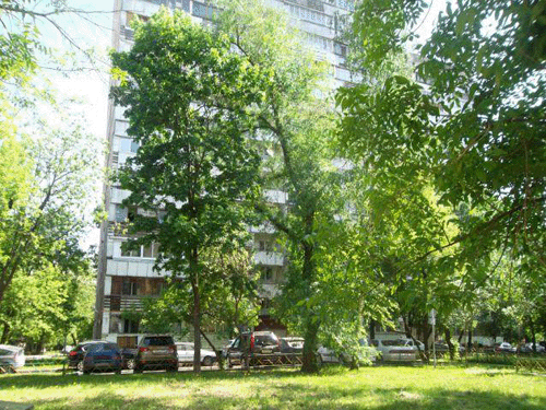 Улица малахитовая москва