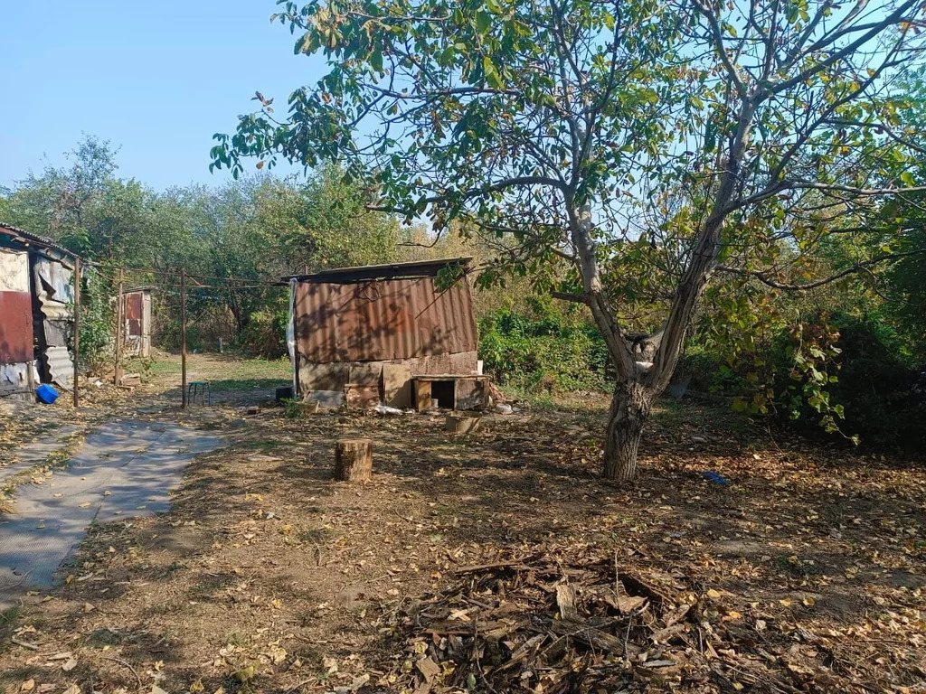 Погода ставропольский край кочубеевский хутор васильевский