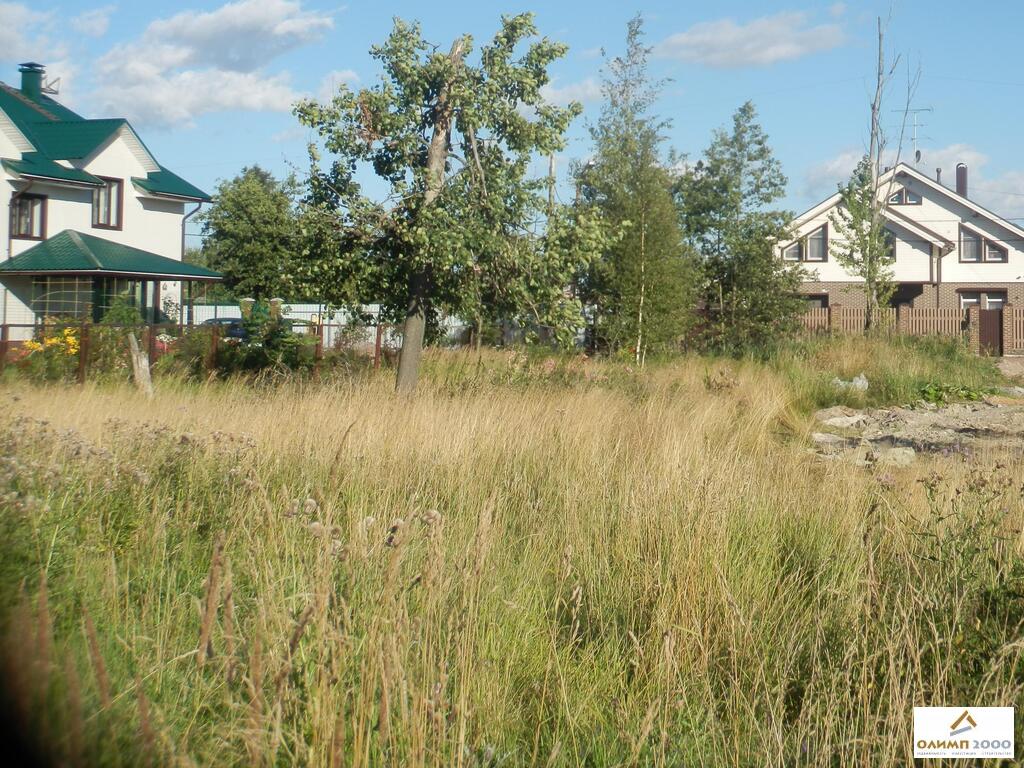 Купить земельный участок володарский спб, льготы по уплате таможенных сборов и мдф панели ясень арктик Купить земельный участок володарский спб