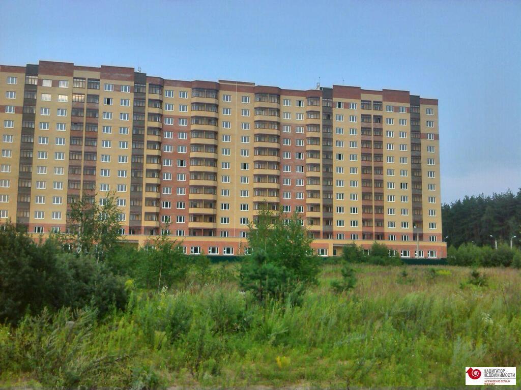 Новое бисерово купить квартиру, купить дом коттедж солонцы нанжуль и купить билет на шоу короли Новое бисерово купить квартиру