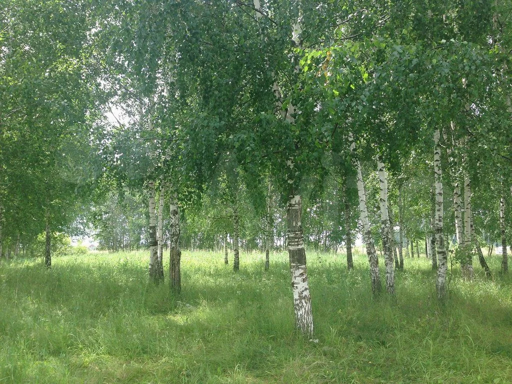 Участок на продажу в Обухово, СНТ Транс фото №0