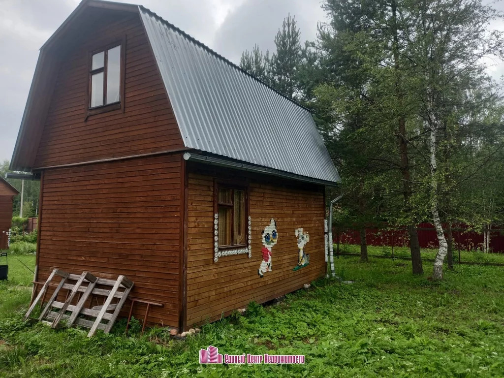 На плане изображен дачный участок по адресу снт