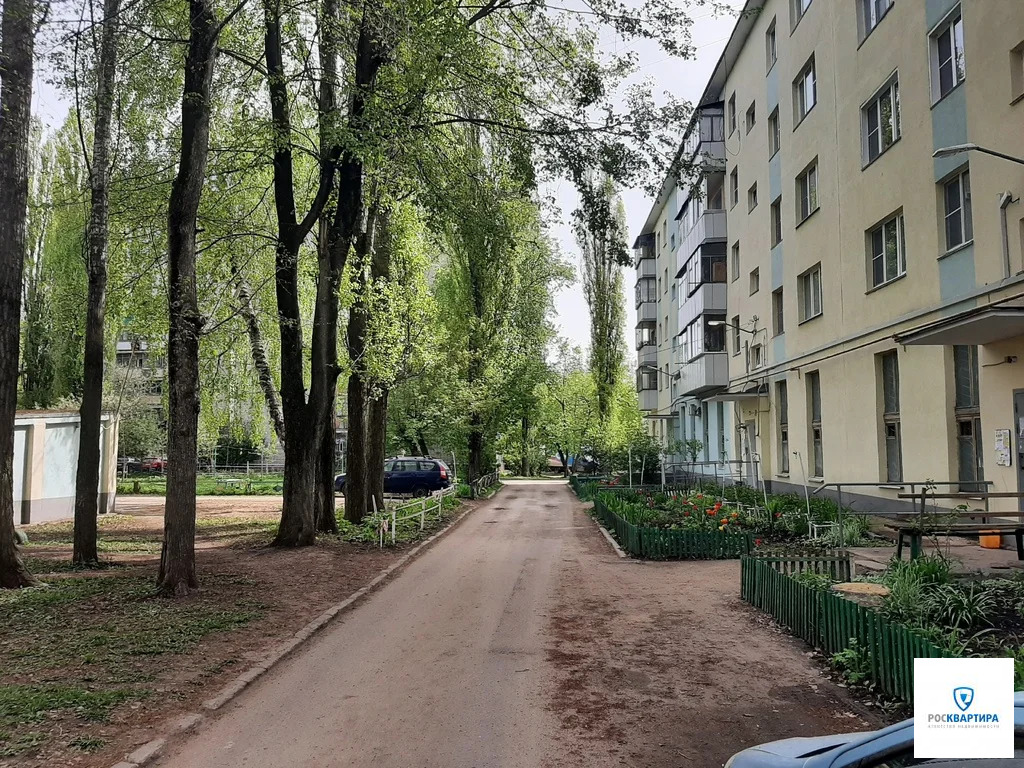 https://cnd.afy.ru/files/pbb/full/c/ca/ca9c4123aa70a4ab0fc12c034537361301.jpg