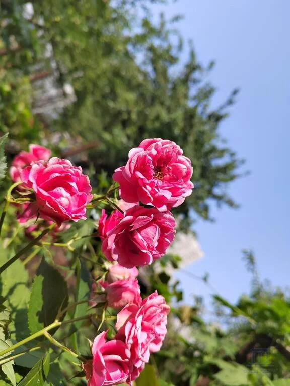 Продажа участка, Ростов-на-Дону, 2-й Самобытный,  6