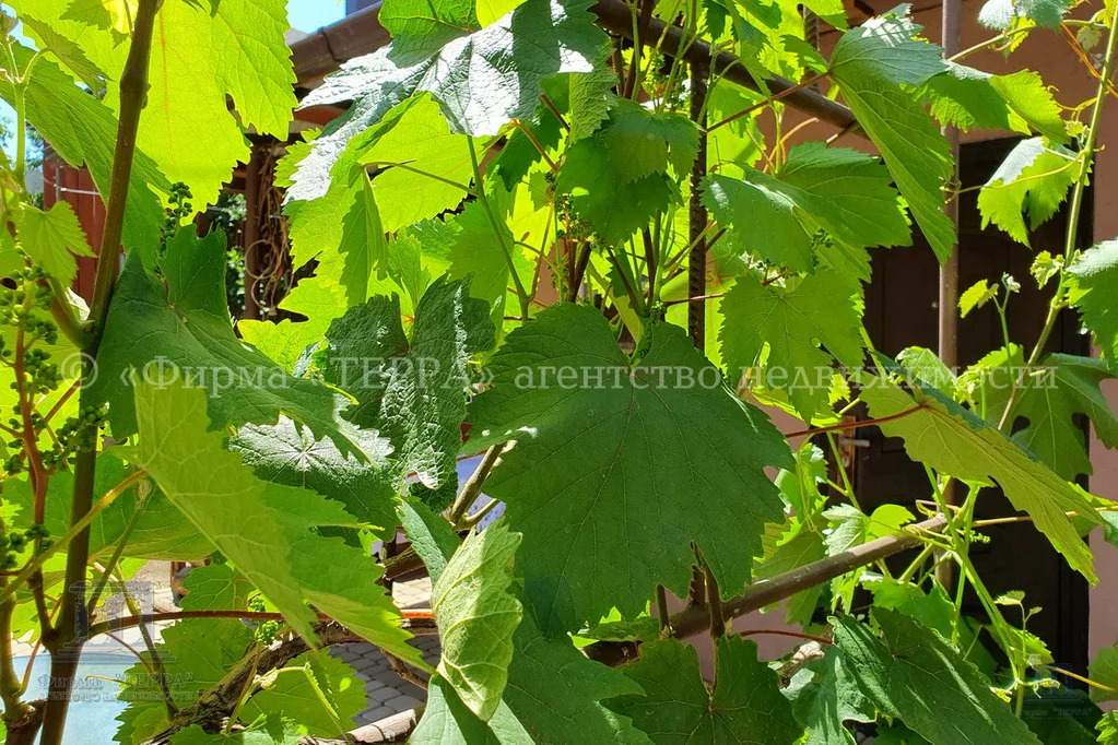 Продажа дома, 95м <sup>2</sup>, 3 сот., Ростов-на-Дону, Чингарский пер.,  17А