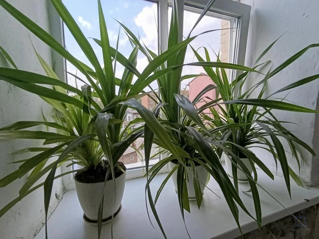 Продажа комнаты, 11м <sup>2</sup>, Ростов-на-Дону, ул. Тургеневская,  6