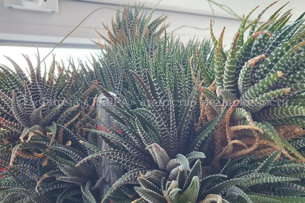 Продажа 3-комнатной квартиры, Ростов-на-Дону, ул. Каяни,  9В