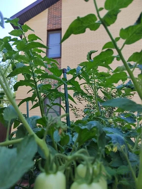 Продажа дома, 172м <sup>2</sup>, 5 сот., Нижнетемерницкий, Содружество,  1568