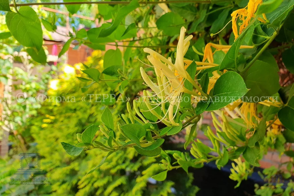 Продажа дома, 95м <sup>2</sup>, 3 сот., Ростов-на-Дону, Чингарский пер.,  17А