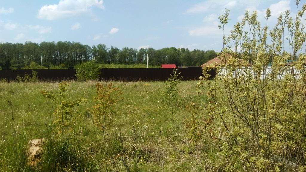 Купить участок в ишино чеховского района, дом в садоводстве в ленинградской области и что такое ре фаза и ноль Купить участок в ишино чеховского района