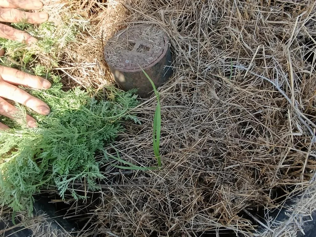 Продажа участка, Арпачин, ул. Луговая