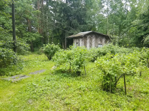 Купить Участок В Городе Щелково