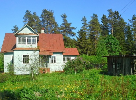 Купить Участок В Вырице