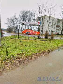 Поселок пушной карелия. Поселок пушной. Пушное ленинградская область. Пушное ленинградская область. Пушное ленинградская область школьная 8.