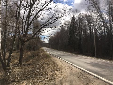 25 соток с лесными деревьями д.Ходаево Чеховский район