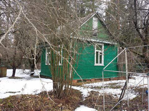 Наша покровка дружба