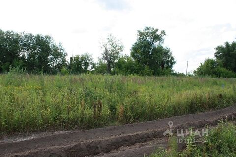 Ласицы сасовский район фото деревня