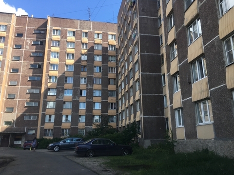 Купить Квартиру Павловск Двухкомнатную