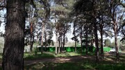 Продается дача в лесной зоне, Продажа домов и коттеджей в Энгельсе, ID объекта - 502879473 - Фото 11 Продается дача в лесной зоне, Продажа домов и коттеджей в Энгельсе, ID объекта - 502879473 - Фото 11