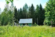 Лесная дача в СНТ Таманец у д. Шапкино, Наро-Фоминский район