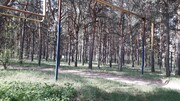 Продается дача в лесной зоне, Продажа домов и коттеджей в Энгельсе, ID объекта - 502879473 - Фото 12 Продается дача в лесной зоне, Продажа домов и коттеджей в Энгельсе, ID объекта - 502879473 - Фото 12