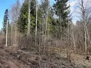 Прилесной участок 12.5 соток в кп на Новорижском шоссе 50 км от МКАД