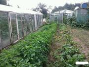 350 000 Руб., Дача в Соколовке, Продажа домов и коттеджей в Рязани, ID объекта - 502338452 - Фото 11 350 000 Руб., Дача в Соколовке, Продажа домов и коттеджей в Рязани, ID объекта - 502338452 - Фото 11