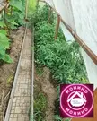 Продажа дома