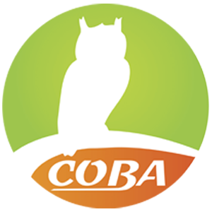 Агентство недвижимости СОВА
